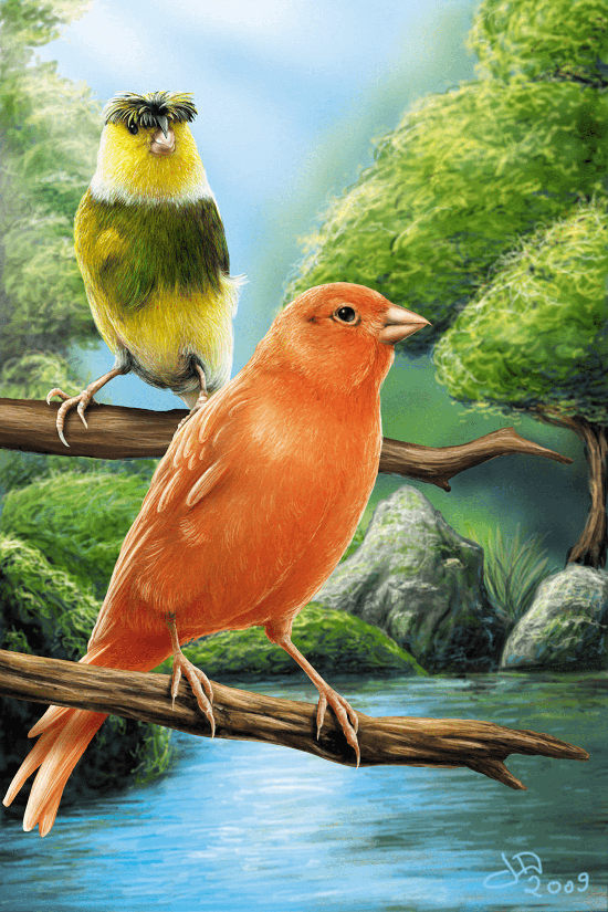 Digital painting canaries