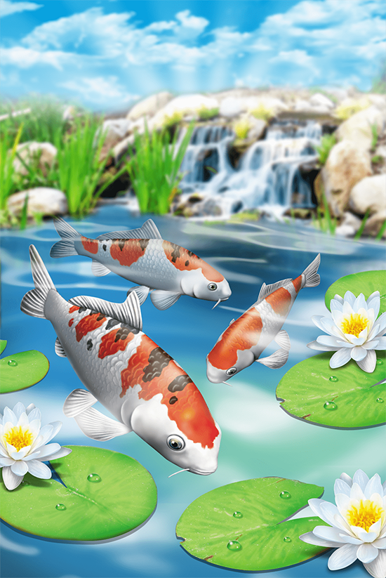 Digital painting koi fish